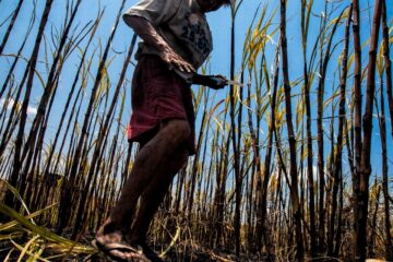 SINAIT-BA alerta para a exploração do trabalho escravo na Bahia